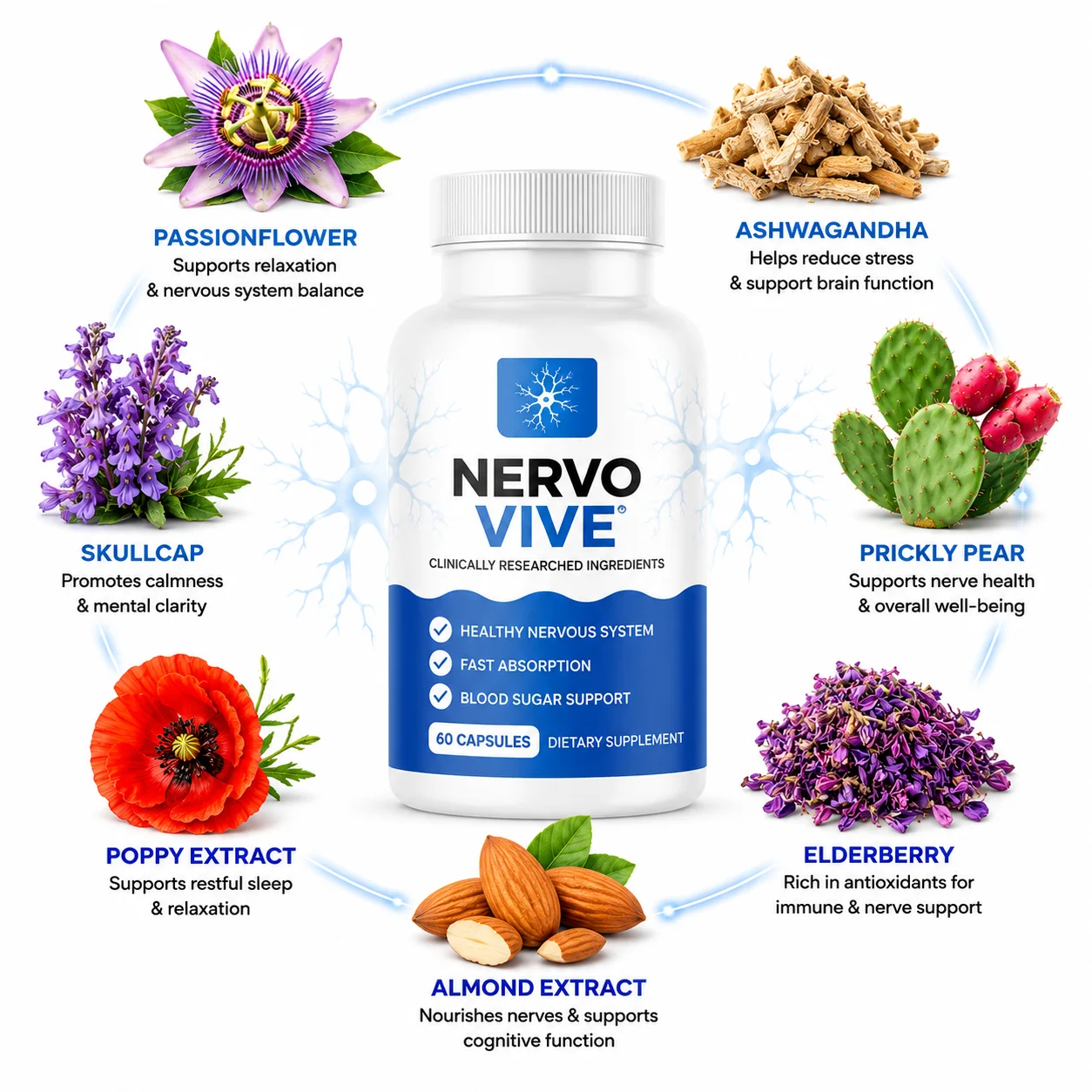 NervoVive promotional ingredient graphic